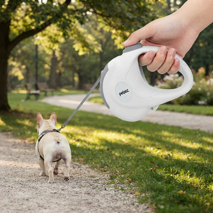 French Bulldog Retractable Leash – Reflective Explosion-Proof Rope