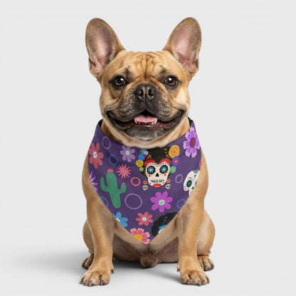 Frenchie Drool Bib – Soft, Durable & Ultra Absorbent