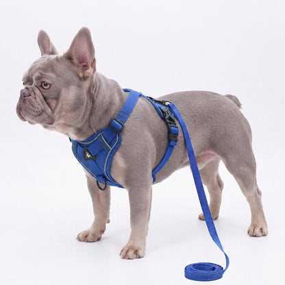 French Bulldog Reflective Mesh Vest Harness – Breathable & Soft