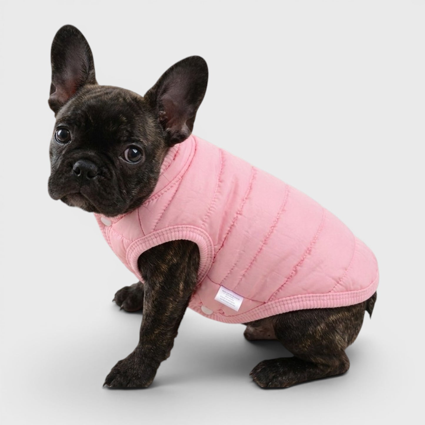 French Bulldog Winter Cotton Vest – Slim Fit & Minimalist Style