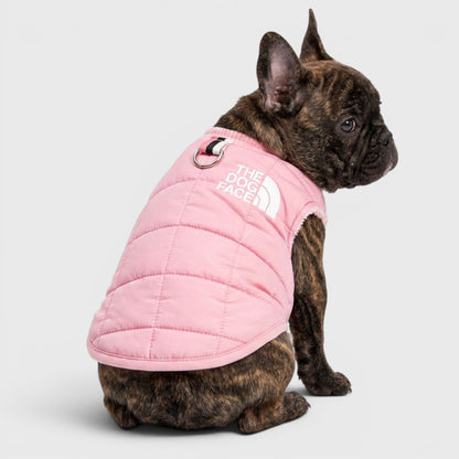 French Bulldog Winter Cotton Vest – Slim Fit & Minimalist Style