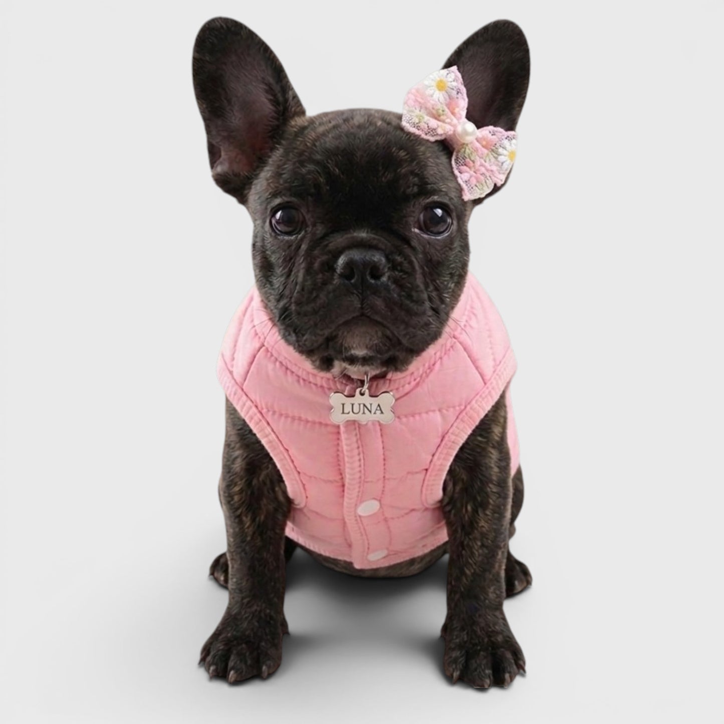 French Bulldog Winter Cotton Vest – Slim Fit & Minimalist Style
