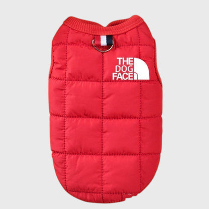 French Bulldog Winter Cotton Vest – Slim Fit & Minimalist Style