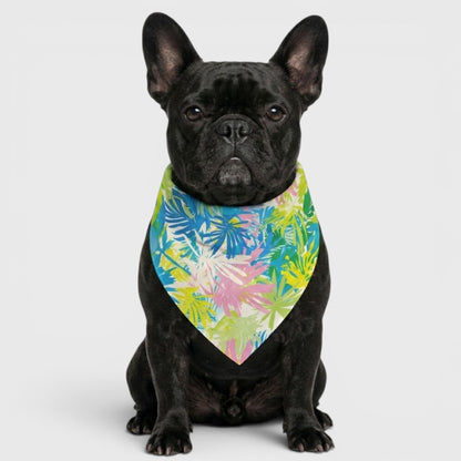 Everyday Frenchie Bib – Comfortable, Durable & Practical