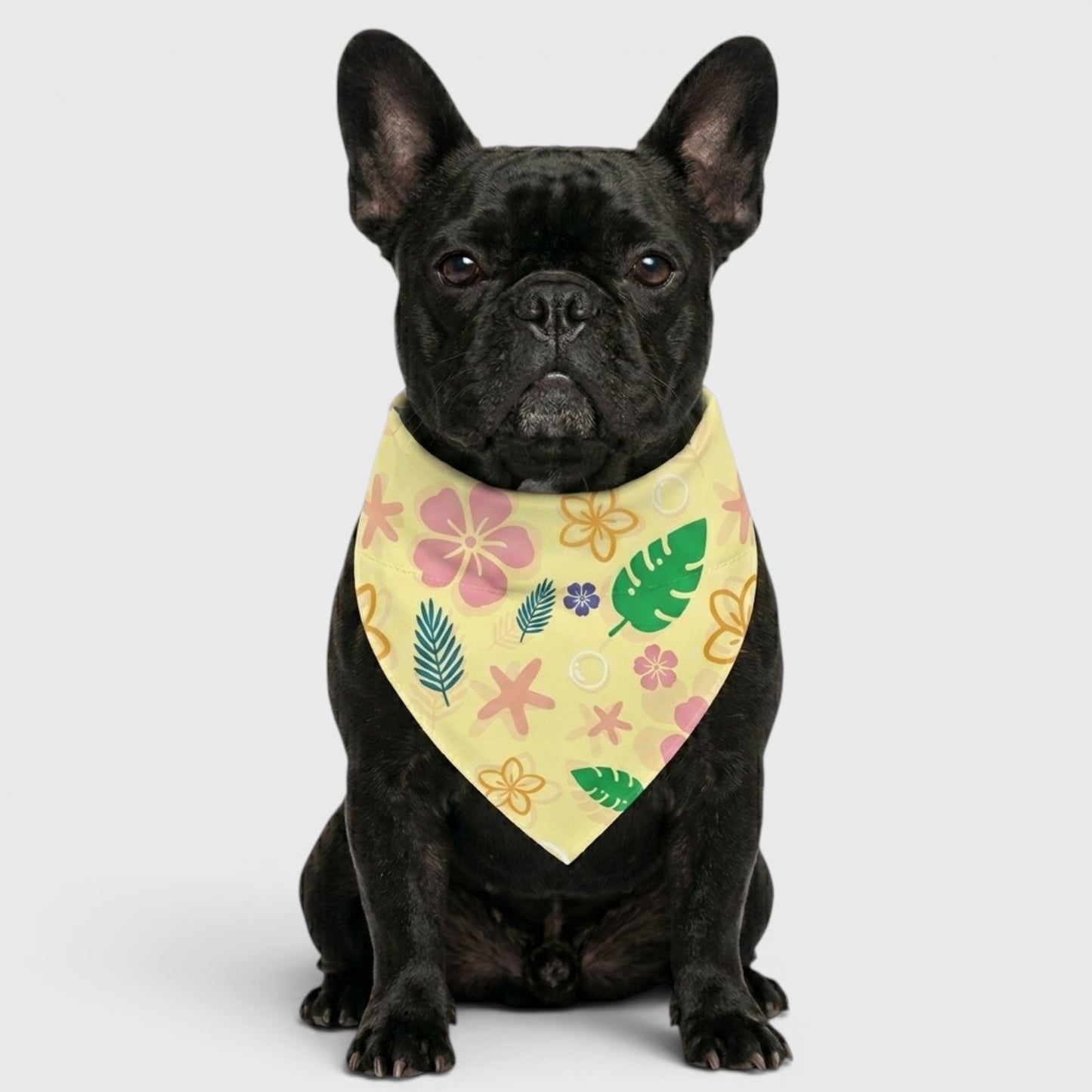 Frenchie Dribble Bib – Ultra Absorbent Neck Protection