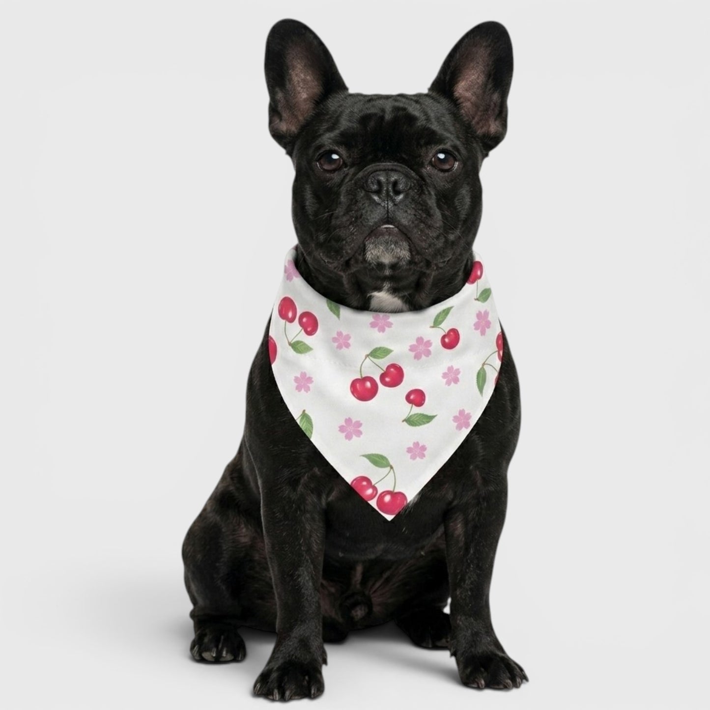 Frenchie Protective Bib – Durable Design with Superior Absorption