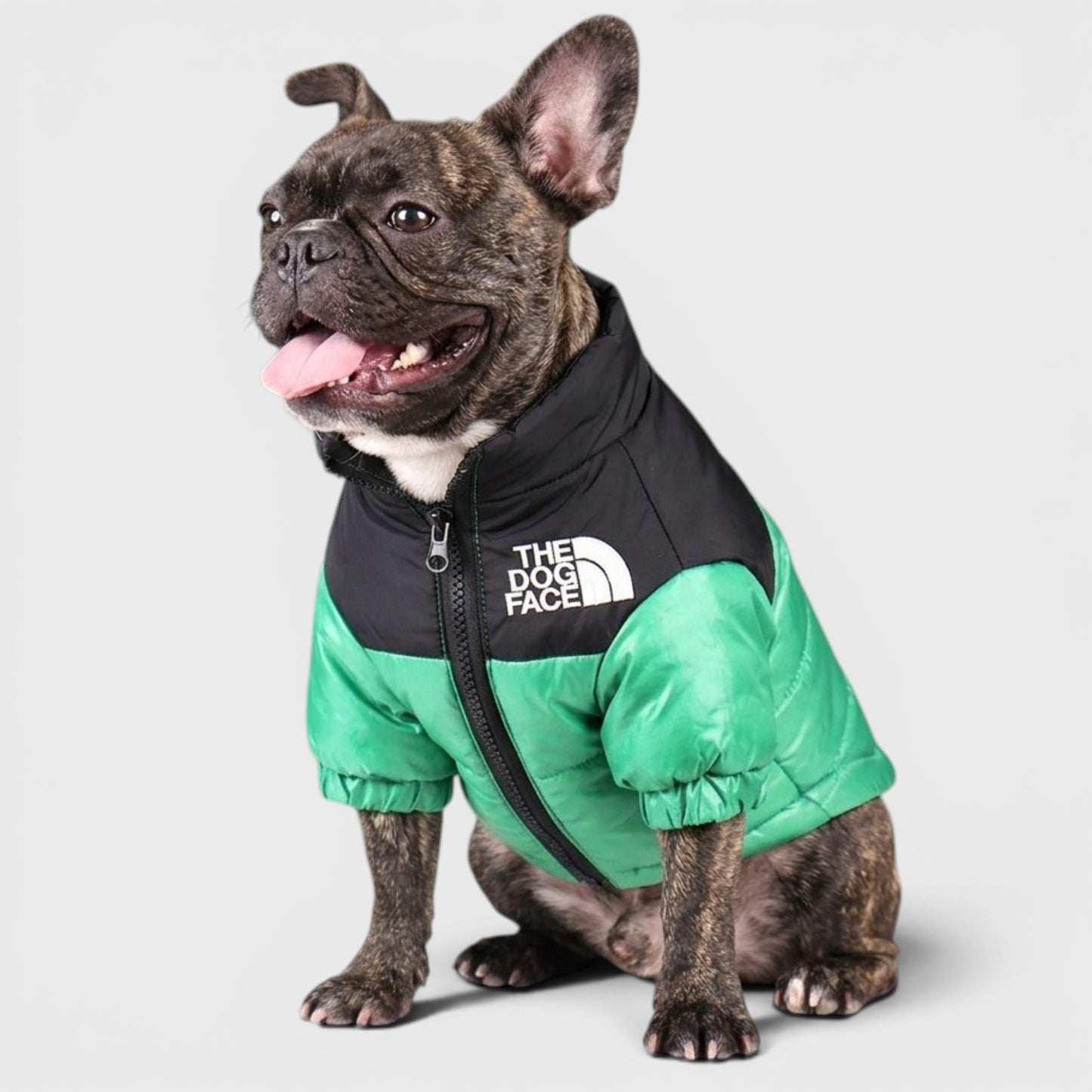French Bulldog Embroidered Dog Face Coat – Warm Fashion Shirt
