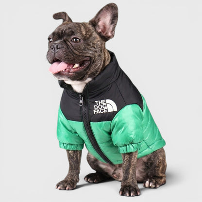 French Bulldog Embroidered Dog Face Coat – Warm Fashion Shirt