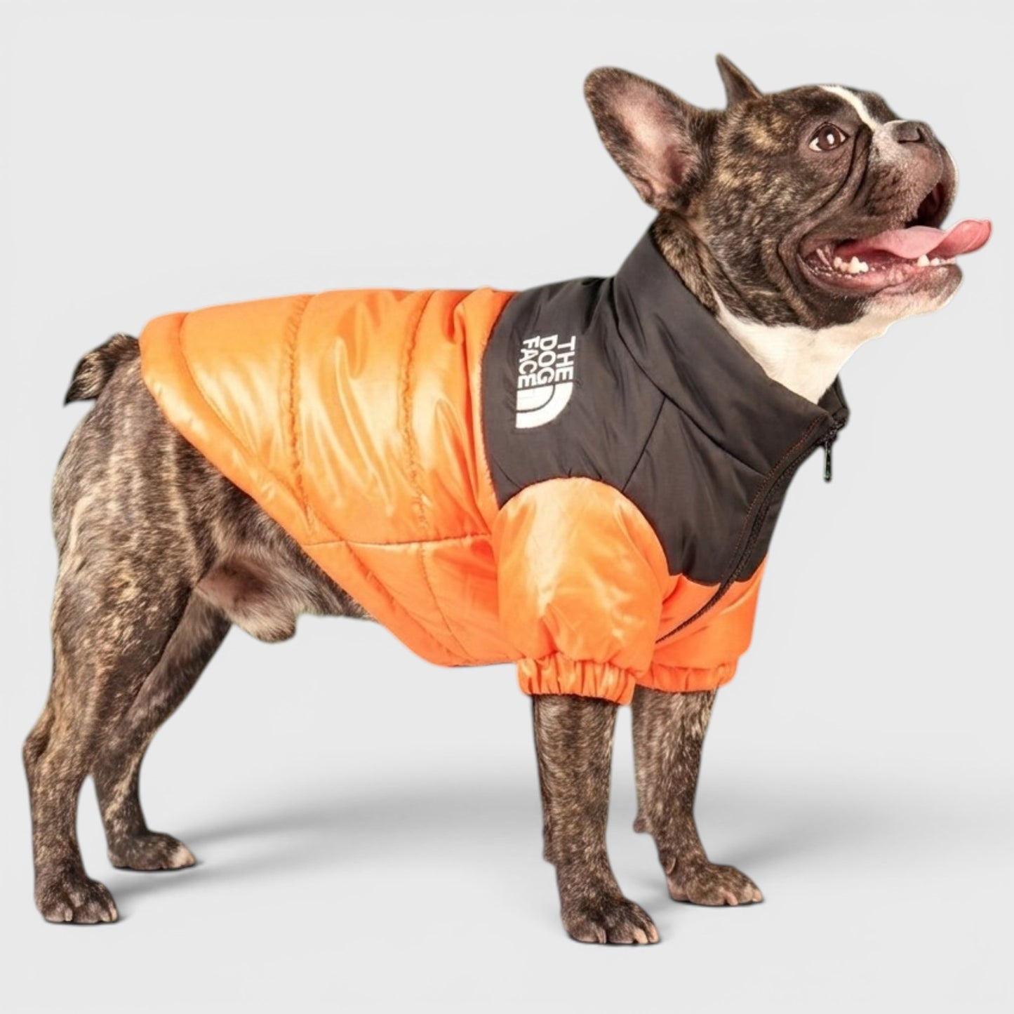 French Bulldog Embroidered Dog Face Coat – Warm Fashion Shirt