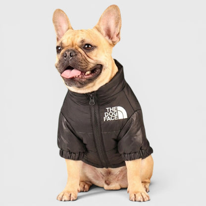 French Bulldog Embroidered Dog Face Coat – Warm Fashion Shirt