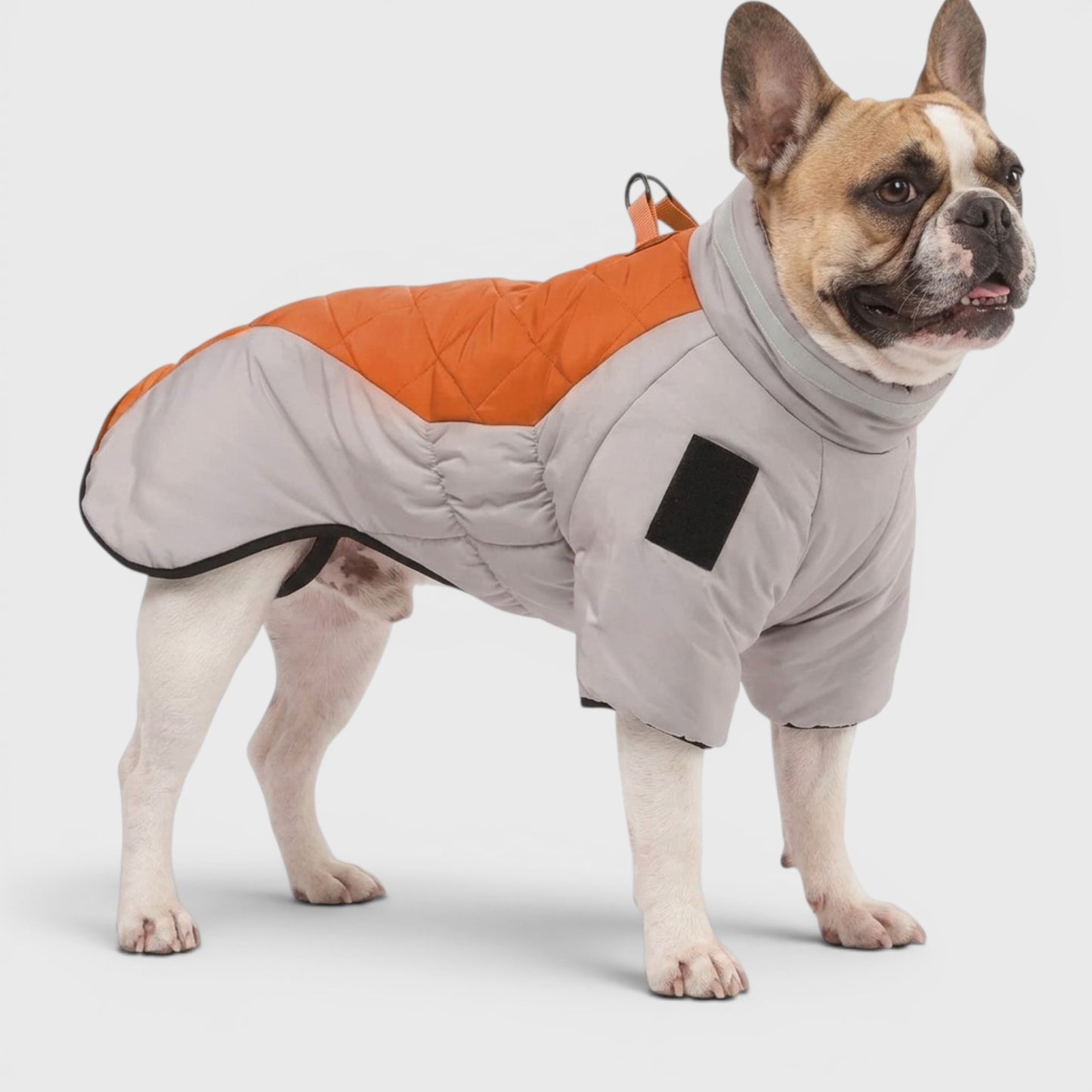 French Bulldog Reflective Winter Coat – Waterproof Padded Jacket
