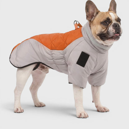 French Bulldog Reflective Winter Coat – Waterproof Padded Jacket