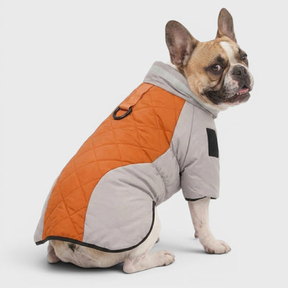 French Bulldog Reflective Winter Coat – Waterproof Padded Jacket