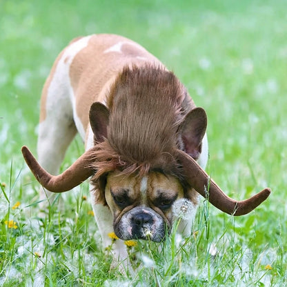 French Bulldog Lion Mane Wig Hat – Funny Costume Accessory
