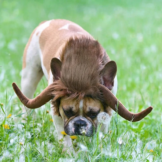 French Bulldog Lion Mane Wig Hat – Funny Costume Accessory
