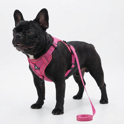 French Bulldog Reflective Mesh Vest Harness – Breathable & Soft