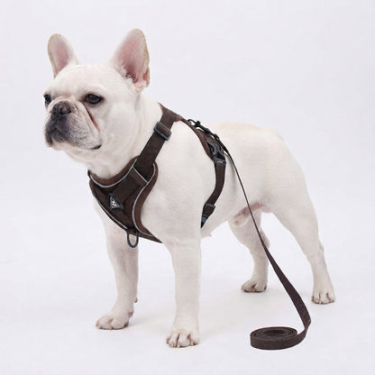 French Bulldog Reflective Mesh Vest Harness – Breathable & Soft