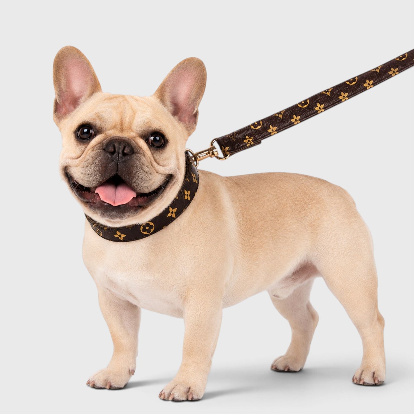 French Bulldog PU Leather Collar – Luxury Anti-Wear Walking Rope