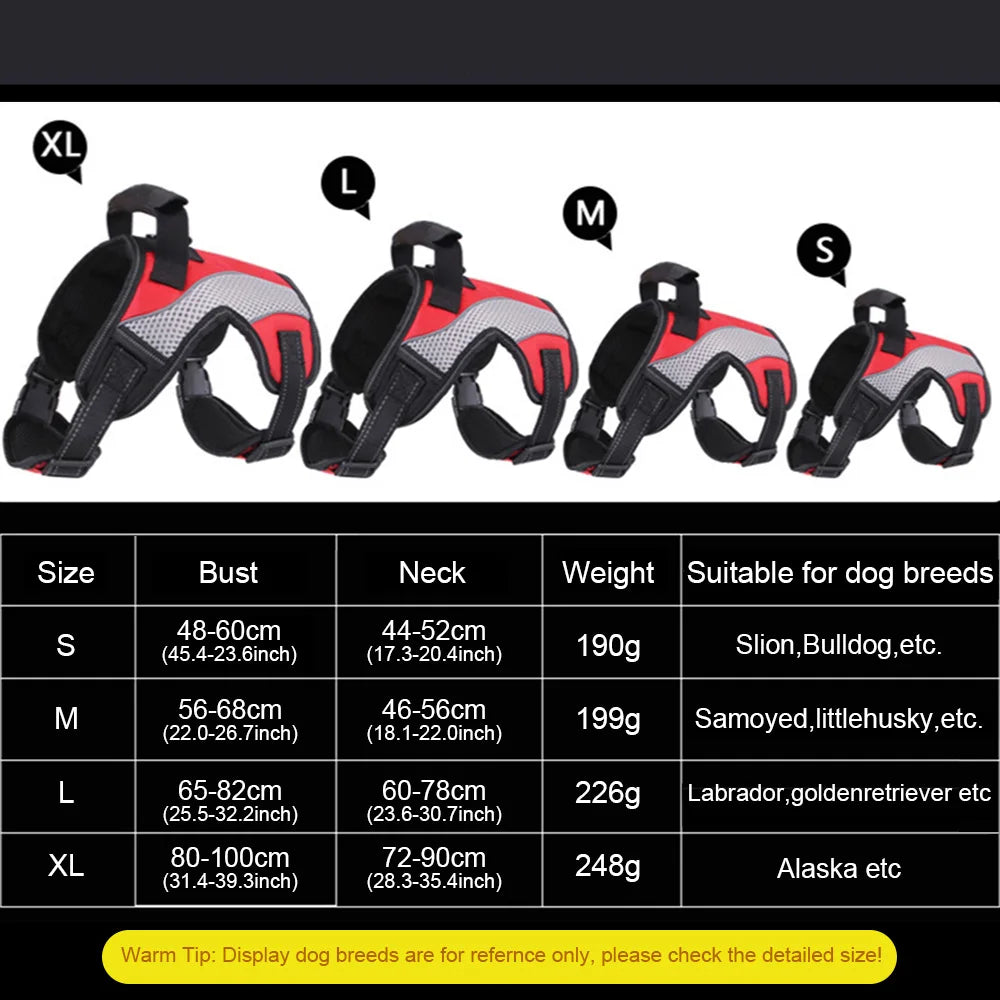 French Bulldog No-Pull Harness – Breathable Mesh Traction Control