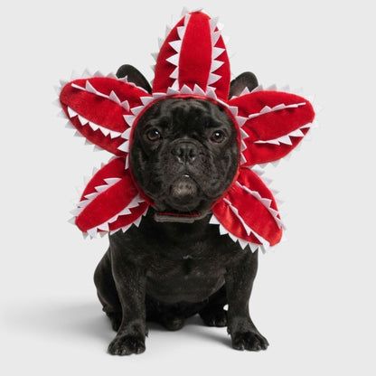 French Bulldog Carnivorous Plant Hat – Funny Halloween Cosplay Hood