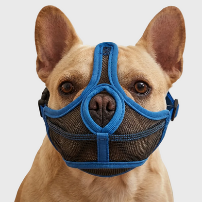 French Bulldog Muzzle – Stop Random Eating & Safe Walk Mask