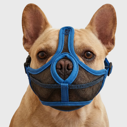 French Bulldog Muzzle – Stop Random Eating & Safe Walk Mask