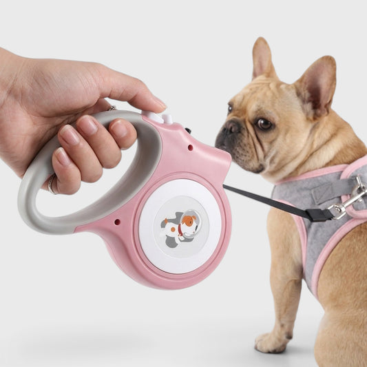 French Bulldog Retractable LED Leash – 5M Auto Rope Walker