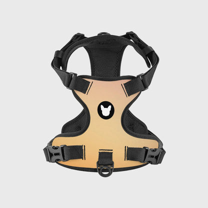 Breathable Adjustable Harness for French Bulldogs – No-Pull Design