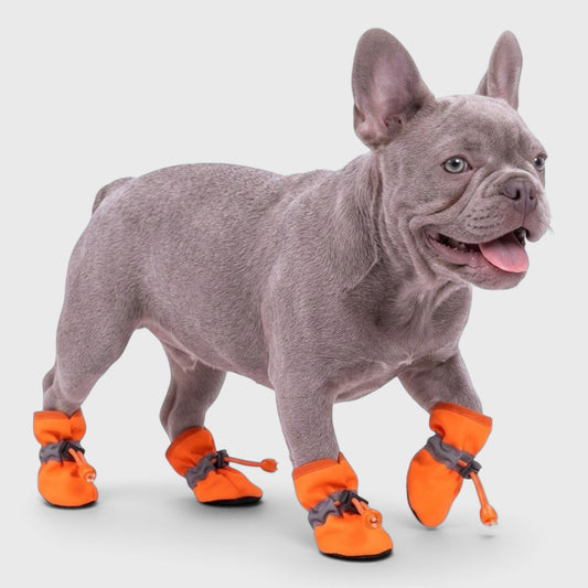 French Bulldog Anti-Slip Winter Boots – Warm Waterproof 4-Pack