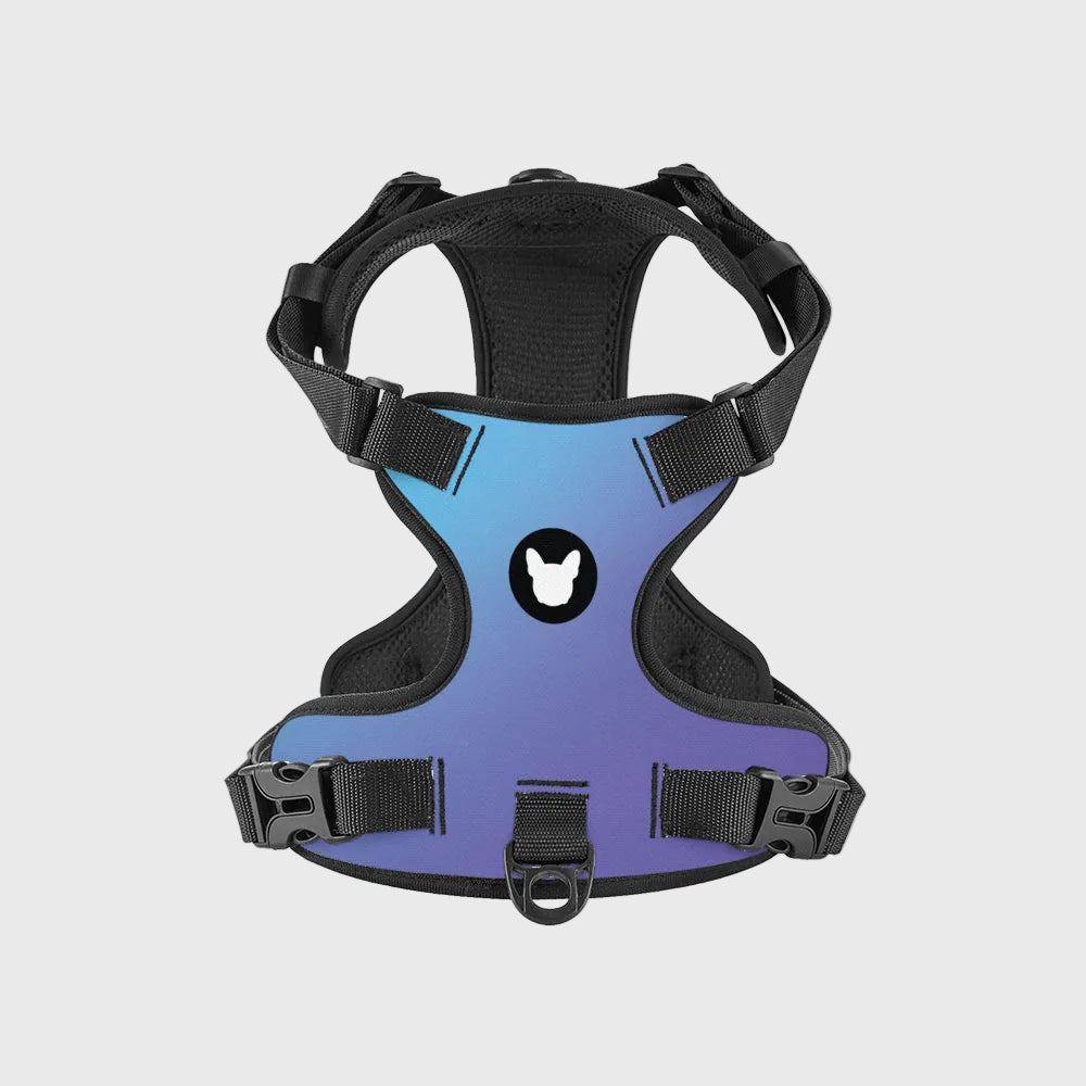 French Bulldog Harness – Adjustable, Breathable & Built for Comfort