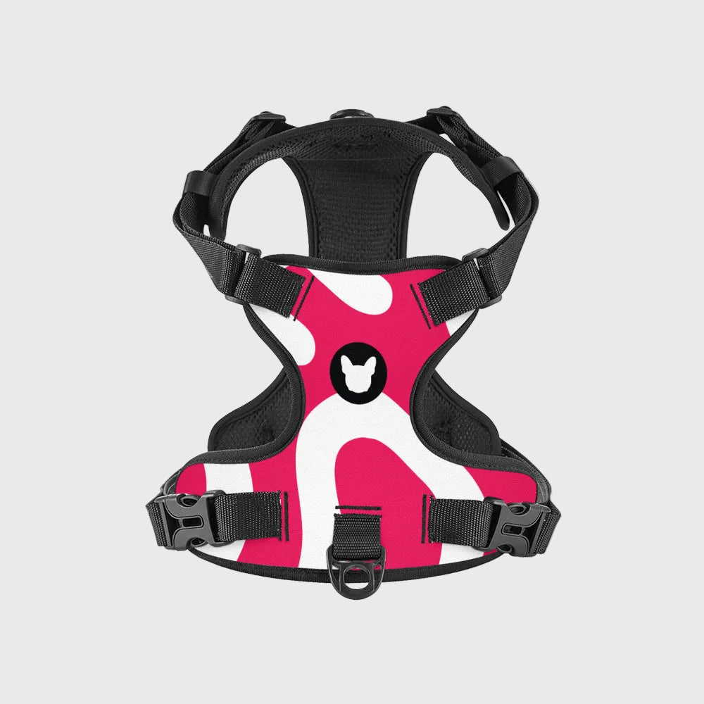 French Bulldog Everyday Harness – No-Pull, Adjustable & Cool-Fit Mesh