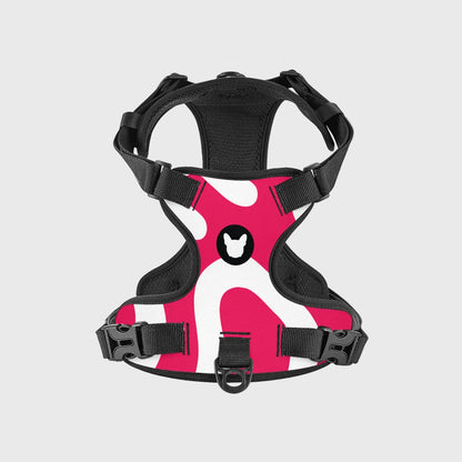 French Bulldog Everyday Harness – No-Pull, Adjustable & Cool-Fit Mesh