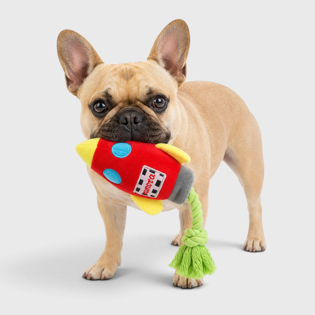 French Bulldog Rocket Squeaky Plush Toy – Colorful Chew Rope