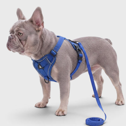 French Bulldog Reflective Mesh Vest Harness – Breathable & Soft