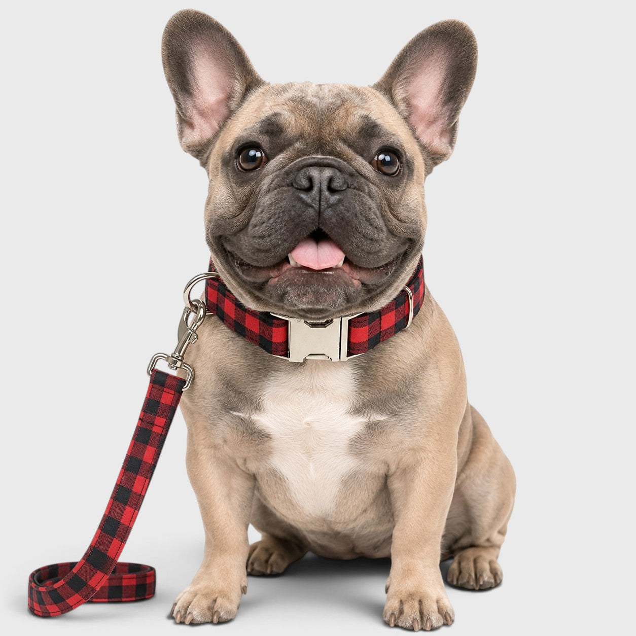 French Bulldog Traction Belt Leash & Collar – Bold Red & Black Grid