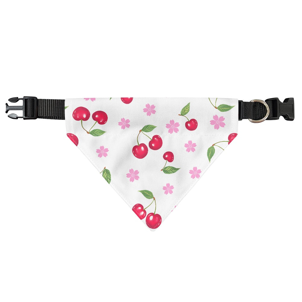 Frenchie Protective Bib – Durable Design with Superior Absorption