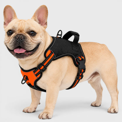 French Bulldog Reflective Vest Harness – Explosion-Proof Oxford