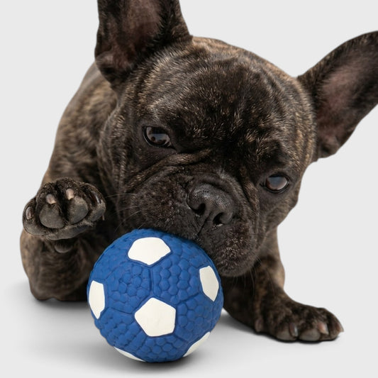 French Bulldog Squeaky Latex Ball – Durable Chew Toy for Frenchies