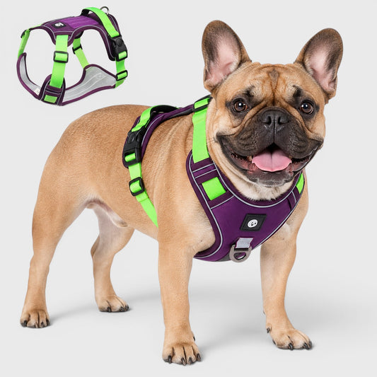 French Bulldog Chest Harness Vest – Durable Oxford No-Escape