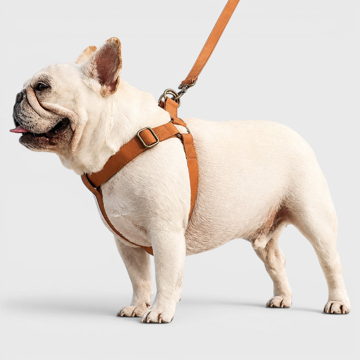 French Bulldog PU Leather Harness – Tank Top Style Chest Back
