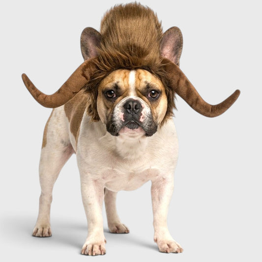 French Bulldog Lion Mane Wig Hat – Funny Costume Accessory