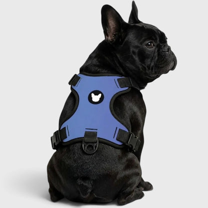 French Bulldog Harness – No-Pull, Breathable & Adjustable