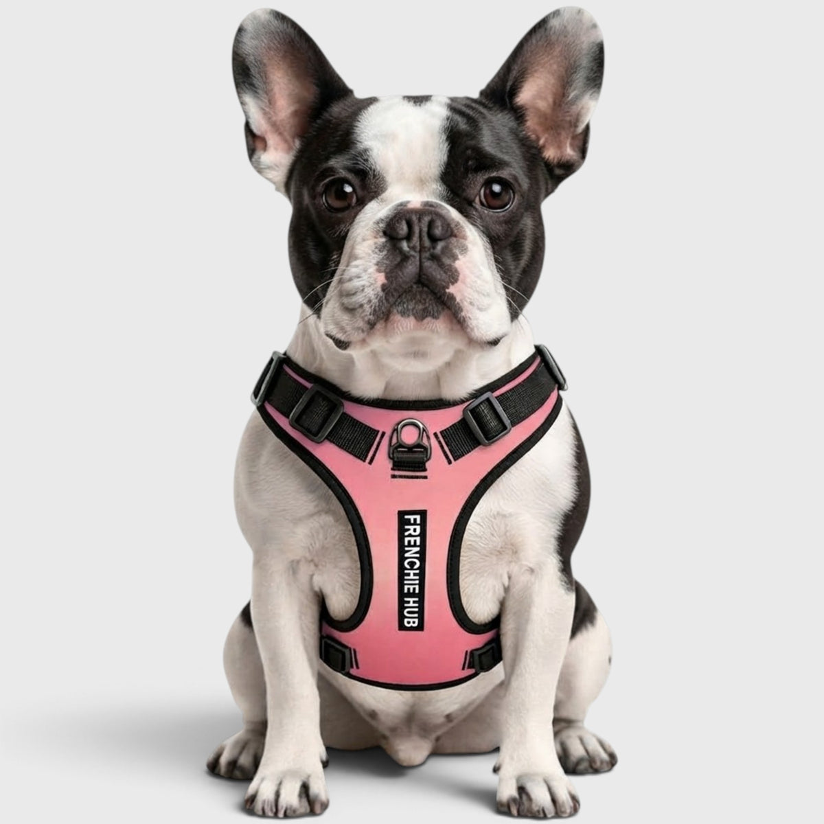 No-Pull French Bulldog Harness – Adjustable Straps, Breathable Mesh