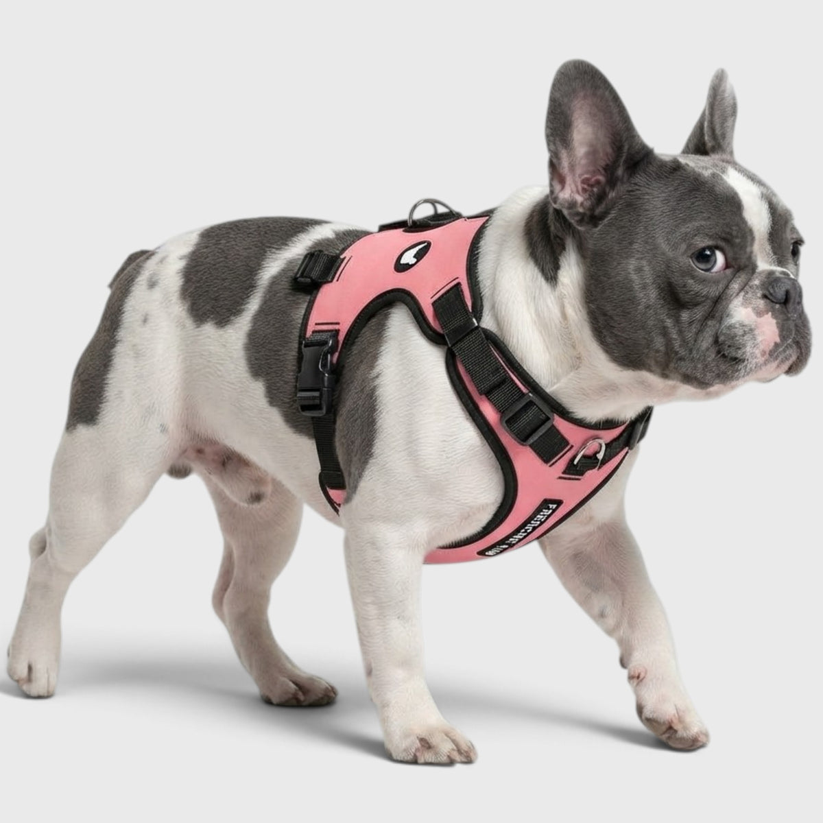 No-Pull French Bulldog Harness – Adjustable Straps, Breathable Mesh