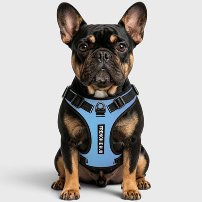 French Bulldog Harness – Adjustable, Breathable & Built for Comfort