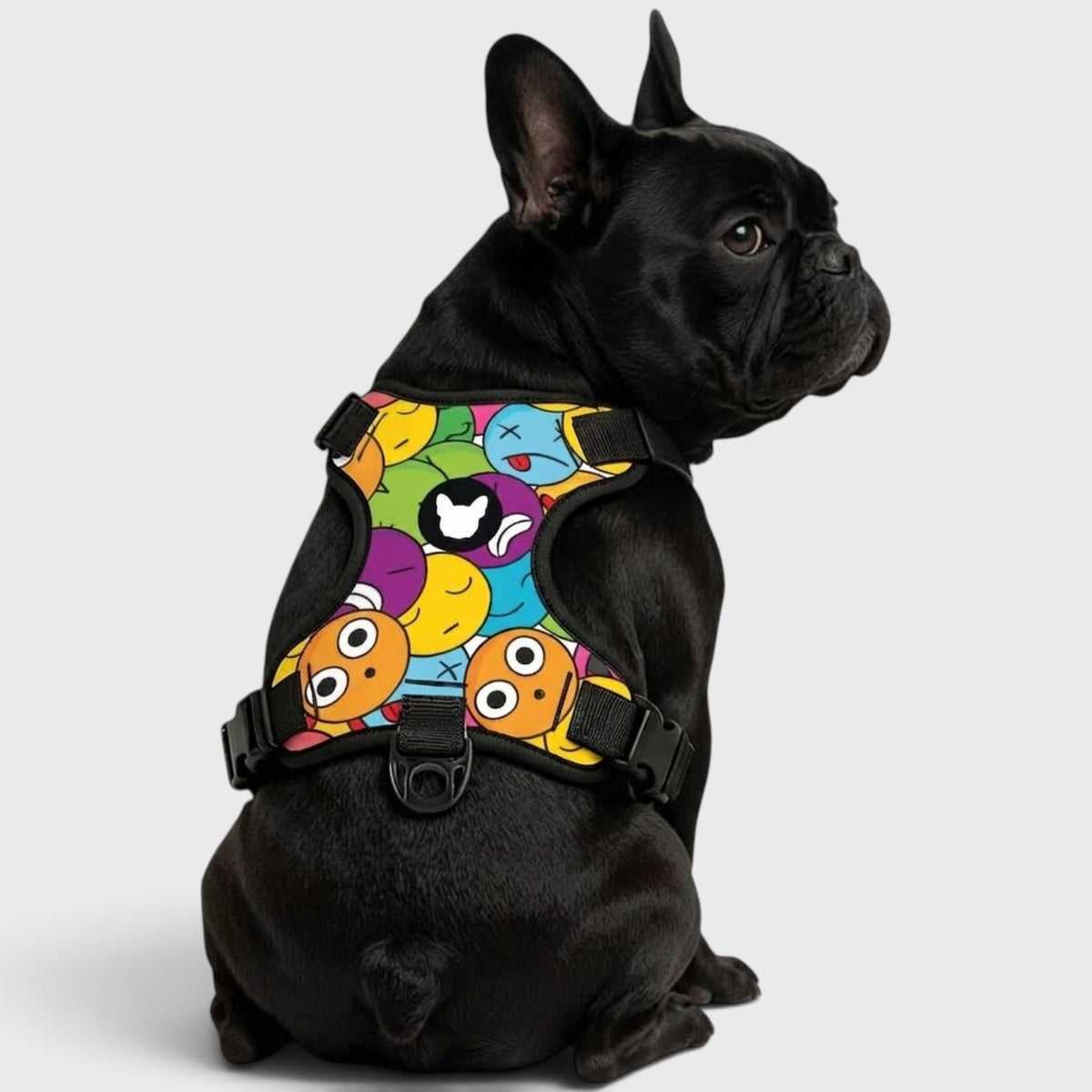 French Bulldog Anti-Pull Walking Harness – Adjustable & Breathable