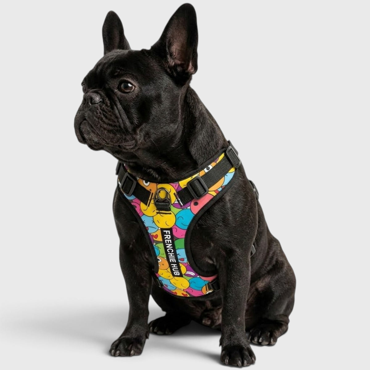 French Bulldog Anti-Pull Walking Harness – Adjustable & Breathable