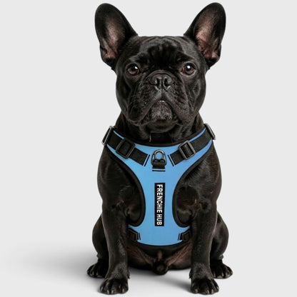 French Bulldog Harness – No-Pull, Breathable & Adjustable