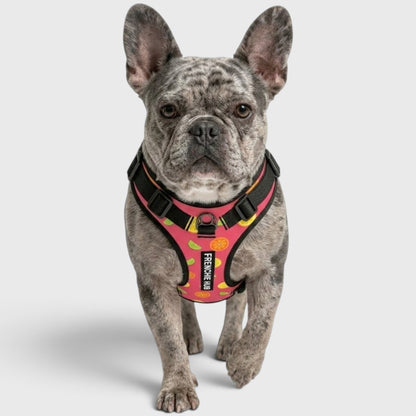 Comfort-Fit Harness for French Bulldogs – Breathable, No-Pull Support