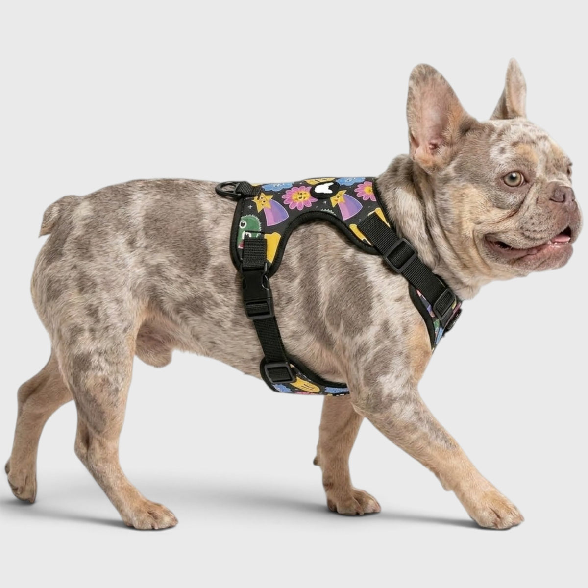 Breathable No-Pull Harness – Made for French Bulldogs' Chunky Build